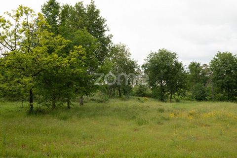 Helårsgrund i Seia, Guarda, Seia - € 190.000 | Ref: ZMPT588803 - foto 10