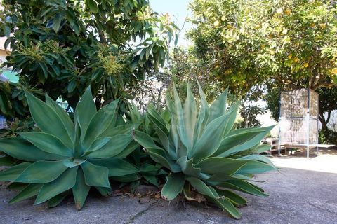 Villa i Castro Marim, Faro, Castro Marim - € 549.000 | Ref: AL98987VR - foto 29