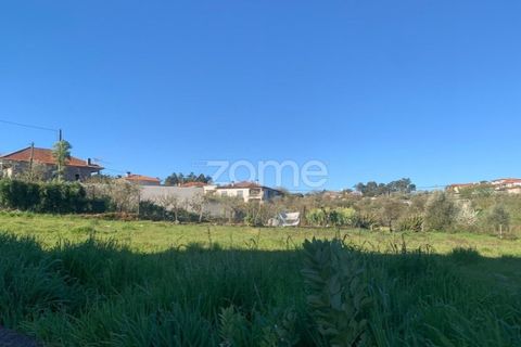 Villa i Viseu, Viseu, Viseu - € 284.000 | Ref: ZMPT575730 - foto 16