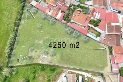 Helårsgrund i Mealhada, Aveiro, Mealhada - € 82.000 | Ref: ZMPT587690 - foto 7