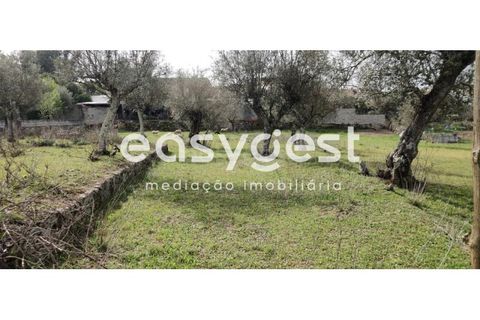 Tomt i Escalos de Cima e Lousa, Castelo Branco, Escalos de Cima e Lousa - € 29 000 | Ref: CB87805MA - foto 3