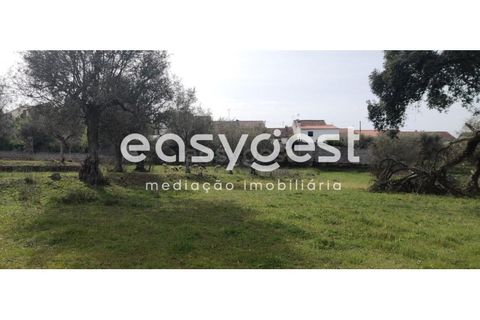 Tomt i Escalos de Cima e Lousa, Castelo Branco, Escalos de Cima e Lousa - € 29 000 | Ref: CB87805MA - foto 5