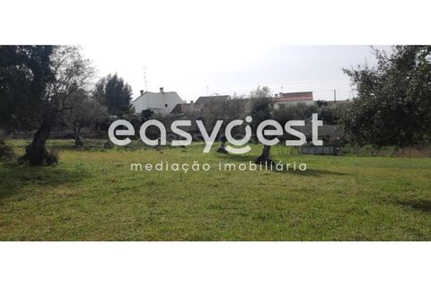 Tomt i Escalos de Cima e Lousa, Castelo Branco, Escalos de Cima e Lousa - € 29 000 | Ref: CB87805MA - foto 6