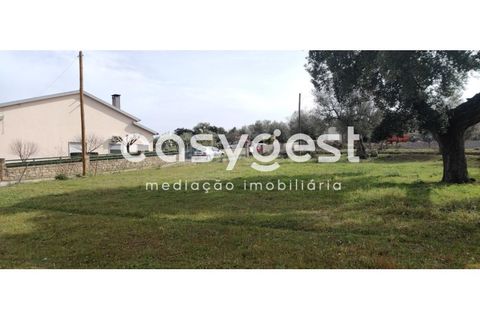 Tomt i Escalos de Cima e Lousa, Castelo Branco, Escalos de Cima e Lousa - € 29 000 | Ref: CB87805MA - foto 8
