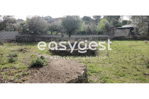 Tomt i Escalos de Cima e Lousa, Castelo Branco, Escalos de Cima e Lousa - € 29 000 | Ref: CB87805MA - foto 9