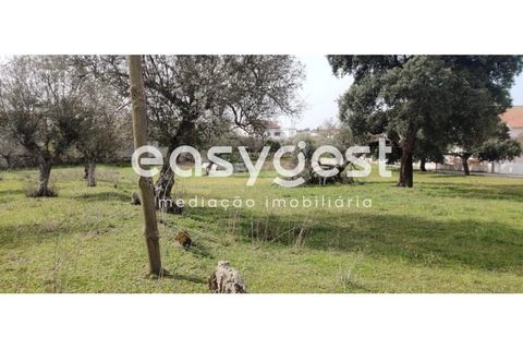 Tomt i Escalos de Cima e Lousa, Castelo Branco, Escalos de Cima e Lousa - € 29 000 | Ref: CB87805MA - foto 11