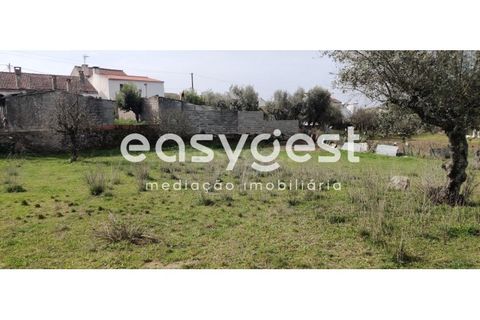 Tomt i Escalos de Cima e Lousa, Castelo Branco, Escalos de Cima e Lousa - € 29 000 | Ref: CB87805MA - foto 12