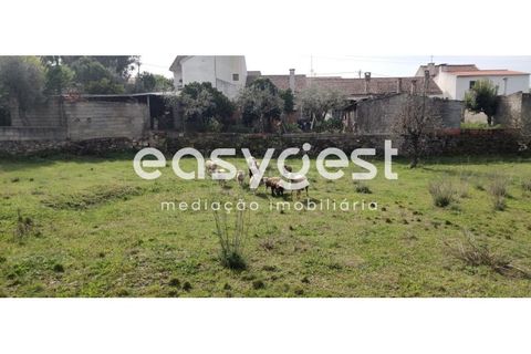 Tomt i Escalos de Cima e Lousa, Castelo Branco, Escalos de Cima e Lousa - € 29 000 | Ref: CB87805MA - foto 13