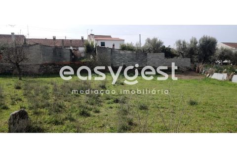 Tomt i Escalos de Cima e Lousa, Castelo Branco, Escalos de Cima e Lousa - € 29 000 | Ref: CB87805MA - foto 15