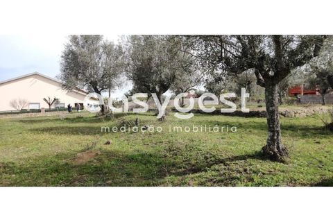 Tomt i Escalos de Cima e Lousa, Castelo Branco, Escalos de Cima e Lousa - € 29 000 | Ref: CB87805MA - foto 16