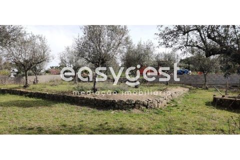 Tomt i Escalos de Cima e Lousa, Castelo Branco, Escalos de Cima e Lousa - € 29 000 | Ref: CB87805MA - foto 17