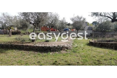 Tomt i Escalos de Cima e Lousa, Castelo Branco, Escalos de Cima e Lousa - € 29 000 | Ref: CB87805MA - foto 18