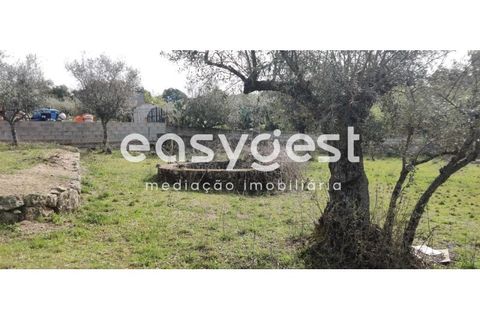 Tomt i Escalos de Cima e Lousa, Castelo Branco, Escalos de Cima e Lousa - € 29 000 | Ref: CB87805MA - foto 19