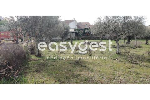 Tomt i Escalos de Cima e Lousa, Castelo Branco, Escalos de Cima e Lousa - € 29 000 | Ref: CB87805MA - foto 20