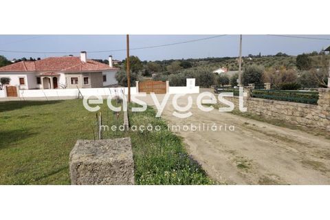 Tomt i Escalos de Cima e Lousa, Castelo Branco, Escalos de Cima e Lousa - € 29 000 | Ref: CB87805MA - foto 21