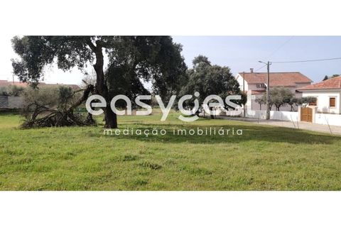 Tomt i Escalos de Cima e Lousa, Castelo Branco, Escalos de Cima e Lousa - € 29 000 | Ref: CB87805MA - foto 22