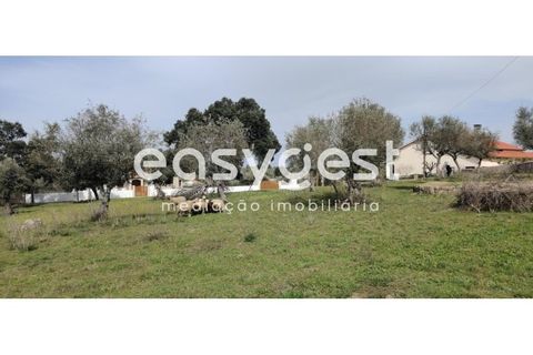 Tomt i Escalos de Cima e Lousa, Castelo Branco, Escalos de Cima e Lousa - € 29 000 | Ref: CB87805MA - foto 26