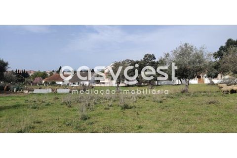 Tomt i Escalos de Cima e Lousa, Castelo Branco, Escalos de Cima e Lousa - € 29 000 | Ref: CB87805MA - foto 27