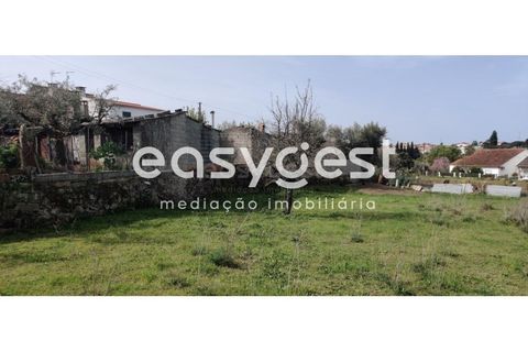 Tomt i Escalos de Cima e Lousa, Castelo Branco, Escalos de Cima e Lousa - € 29 000 | Ref: CB87805MA - foto 28