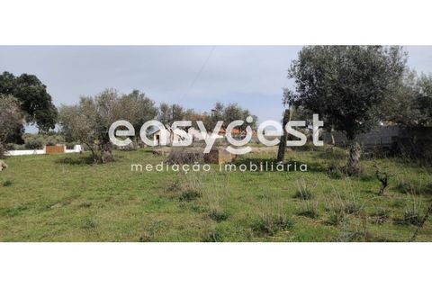 Tomt i Escalos de Cima e Lousa, Castelo Branco, Escalos de Cima e Lousa - € 29 000 | Ref: CB87805MA - foto 30