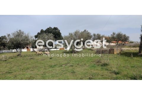 Tomt i Escalos de Cima e Lousa, Castelo Branco, Escalos de Cima e Lousa - € 29 000 | Ref: CB87805MA - foto 31