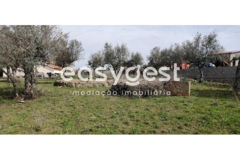 Tomt i Escalos de Cima e Lousa, Castelo Branco, Escalos de Cima e Lousa - € 29 000 | Ref: CB87805MA - foto 32