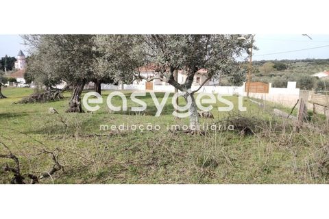 Tomt i Escalos de Cima e Lousa, Castelo Branco, Escalos de Cima e Lousa - € 29 000 | Ref: CB87805MA - foto 35