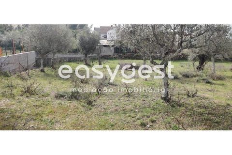 Tomt i Escalos de Cima e Lousa, Castelo Branco, Escalos de Cima e Lousa - € 29 000 | Ref: CB87805MA - foto 36