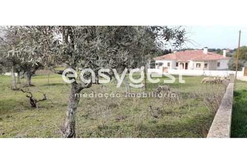 Tomt i Escalos de Cima e Lousa, Castelo Branco, Escalos de Cima e Lousa - € 29 000 | Ref: CB87805MA - foto 39