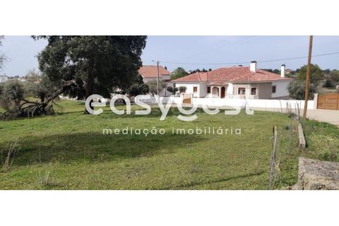 Tomt i Escalos de Cima e Lousa, Castelo Branco, Escalos de Cima e Lousa - € 29 000 | Ref: CB87805MA - foto 40
