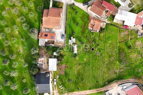 Helårsgrund i Coimbra, Coimbra, Coimbra - € 100.000 | Ref: ZMPT585008 - foto 14