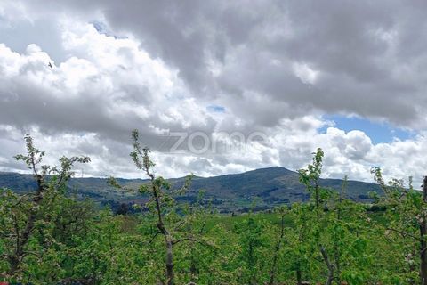 Villa i Paredes da Beira, Viseu, Paredes da Beira - € 75.000 | Ref: ZMPT577021 - foto 16
