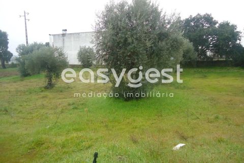 Tomt i Escalos de Cima e Lousa, Castelo Branco, Escalos de Cima e Lousa - € 18 000 | Ref: CB73167MA - foto 2