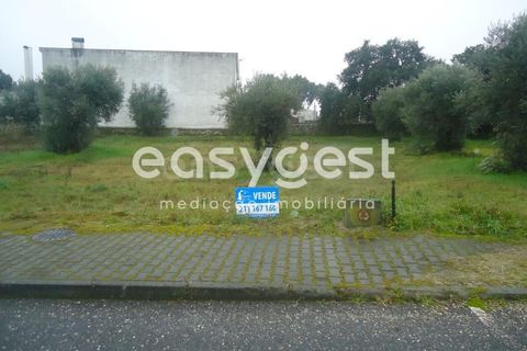 Tomt i Escalos de Cima e Lousa, Castelo Branco, Escalos de Cima e Lousa - € 18 000 | Ref: CB73167MA - foto 3
