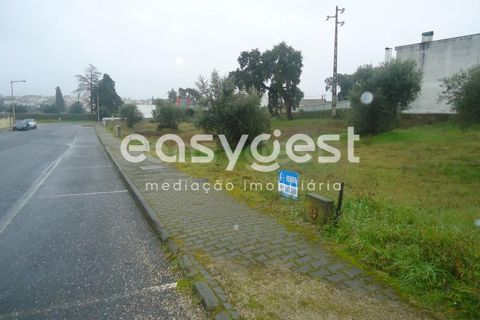 Tomt i Escalos de Cima e Lousa, Castelo Branco, Escalos de Cima e Lousa - € 18 000 | Ref: CB73167MA - foto 8