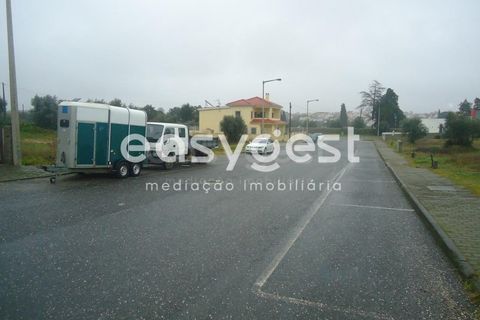 Tomt i Escalos de Cima e Lousa, Castelo Branco, Escalos de Cima e Lousa - € 18 000 | Ref: CB73167MA - foto 9