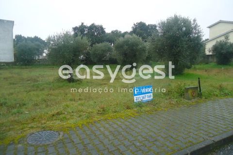Tomt i Escalos de Cima e Lousa, Castelo Branco, Escalos de Cima e Lousa - € 18 000 | Ref: CB73167MA - foto 11