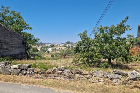 Tomt i Soure, Coimbra, Soure - € 39 000 | Ref: ZMPT579550 - foto 2