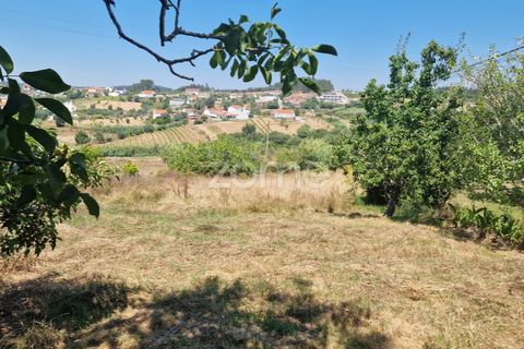 Tomt i Soure, Coimbra, Soure - € 39 000 | Ref: ZMPT579550 - foto 3