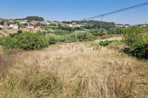 Tomt i Soure, Coimbra, Soure - € 39 000 | Ref: ZMPT579550 - foto 5