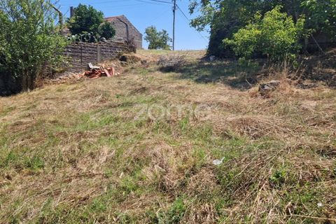 Tomt i Soure, Coimbra, Soure - € 39 000 | Ref: ZMPT579550 - foto 6
