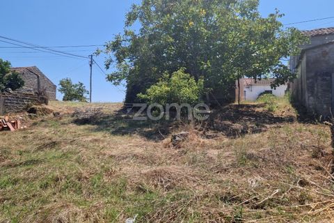 Tomt i Soure, Coimbra, Soure - € 39 000 | Ref: ZMPT579550 - foto 7
