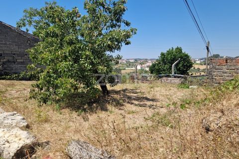 Tomt i Soure, Coimbra, Soure - € 39 000 | Ref: ZMPT579550 - foto 10