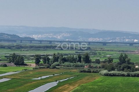 Tomt i Soure, Coimbra, Soure - € 39 000 | Ref: ZMPT579550 - foto 12