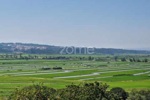 Tomt i Soure, Coimbra, Soure - € 39 000 | Ref: ZMPT579550 - foto 13