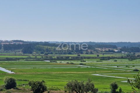 Tomt i Soure, Coimbra, Soure - € 39 000 | Ref: ZMPT579550 - foto 14