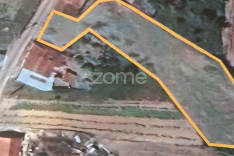 Tomt i Soure, Coimbra, Soure - € 39 000 | Ref: ZMPT579550 - foto 15