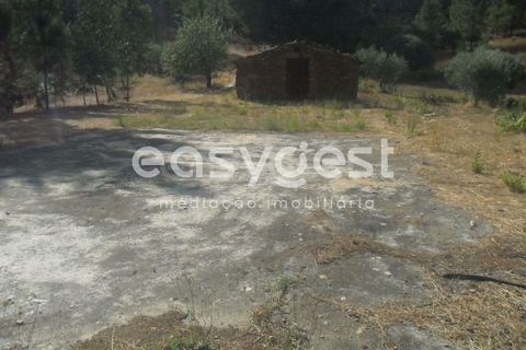 Terra a Barco e Coutada, Castelo Branco, Barco e Coutada - € 38.000 | Ref: CB63063MA - foto 2