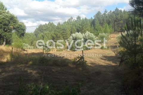 Terra a Barco e Coutada, Castelo Branco, Barco e Coutada - € 38.000 | Ref: CB63063MA - foto 3