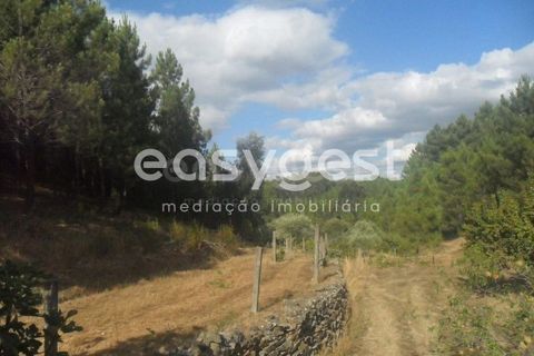 Terra a Barco e Coutada, Castelo Branco, Barco e Coutada - € 38.000 | Ref: CB63063MA - foto 4